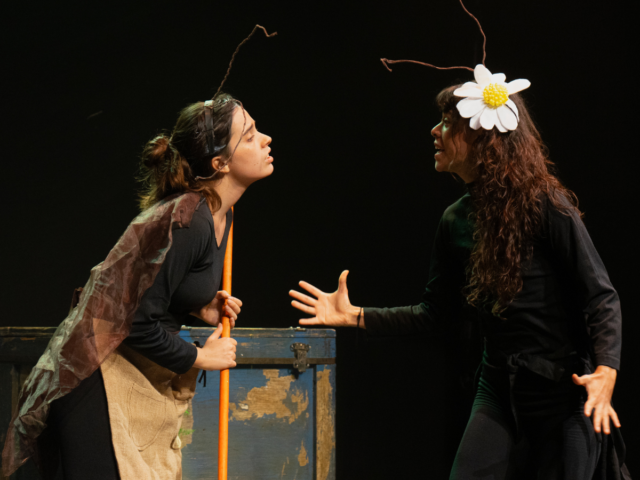 El maleficio de la mariposa